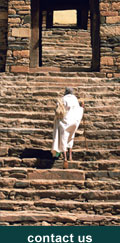 monk
